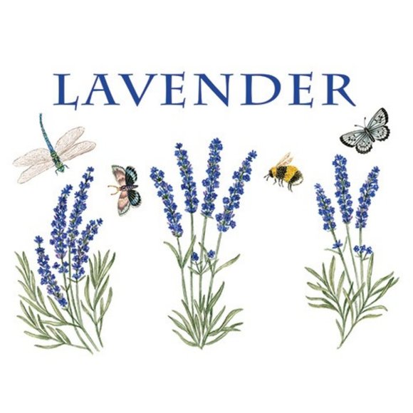 Alice's Cottage LAVENDER Flour Sack Towel Set of 2 - Picture 1 of 1